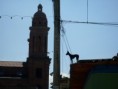 /album/fotogaleria/bicentenario-017-jpg/